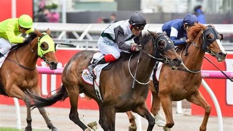 trifecta payouts calculated|Trifecta Bets Explained .